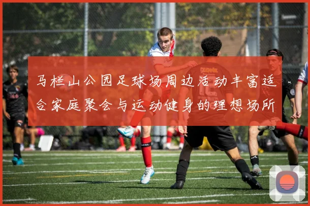 马栏山公园足球场周边活动丰富适合家庭聚会与运动健身的理想场所