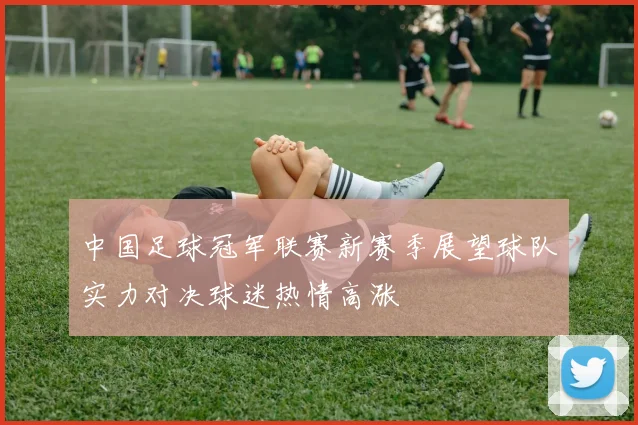 中国足球冠军联赛新赛季展望球队实力对决球迷热情高涨