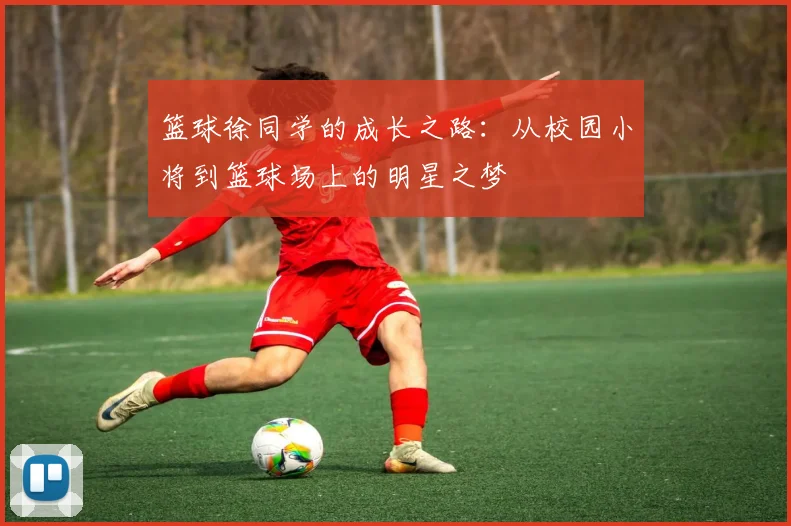 篮球徐同学的成长之路：从校园小将到篮球场上的明星之梦