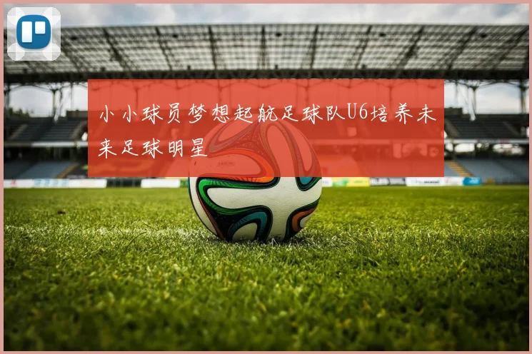 小小球员梦想起航足球队U6培养未来足球明星