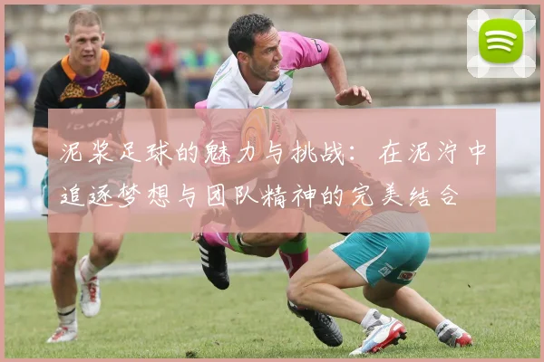 泥浆足球的魅力与挑战：在泥泞中追逐梦想与团队精神的完美结合